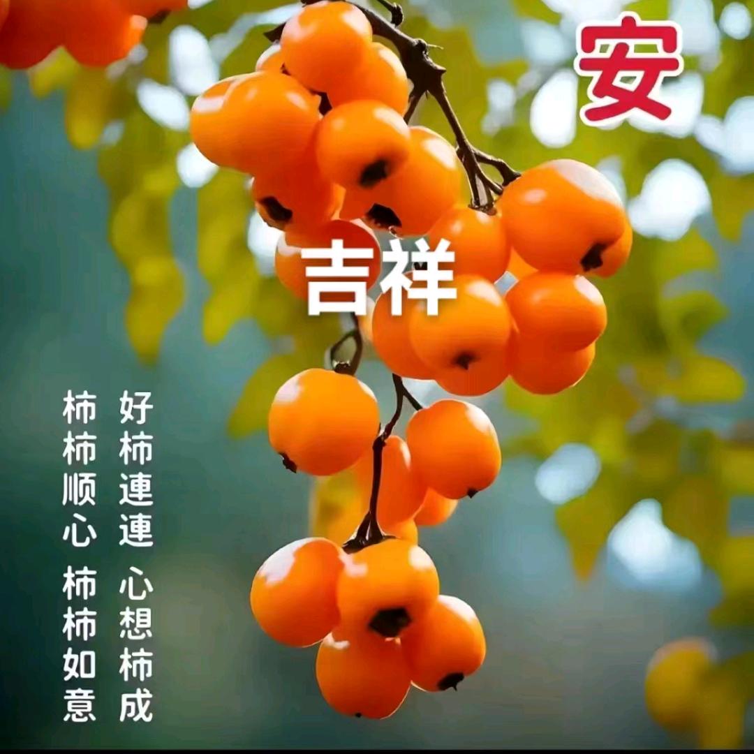 安琪儿