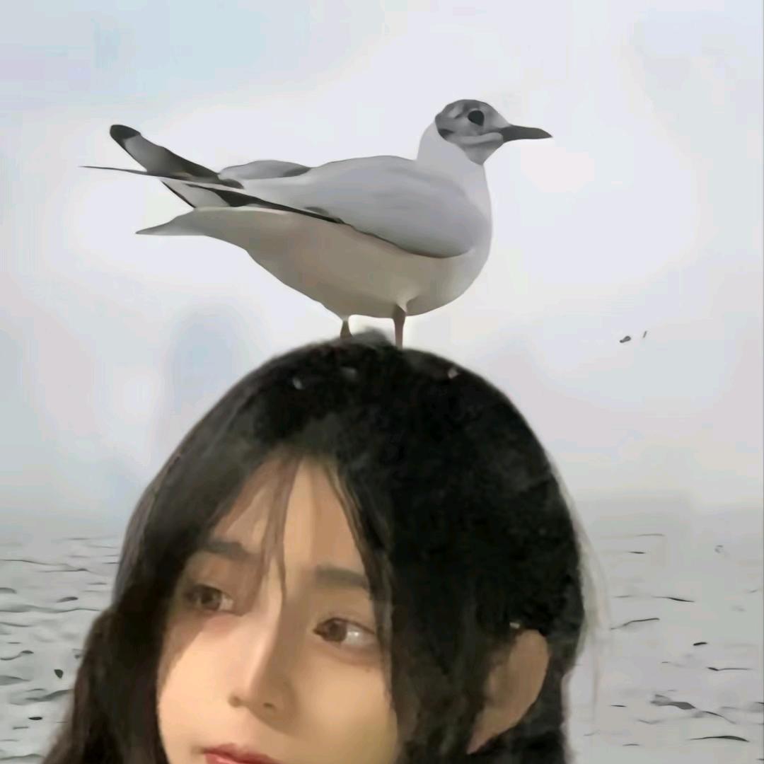 咩咩小羊