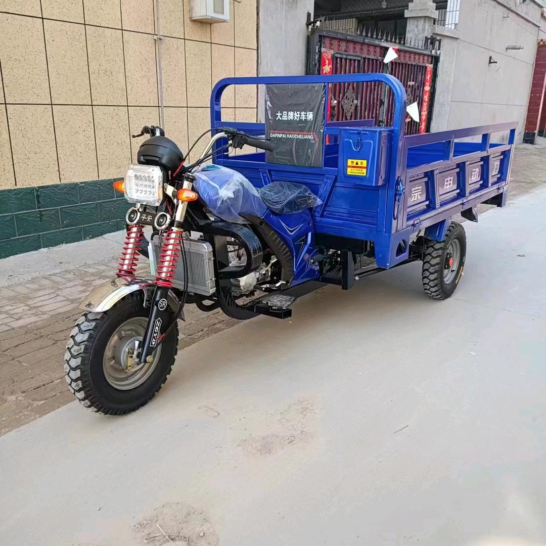 丽达汽油三轮五轮摩托车