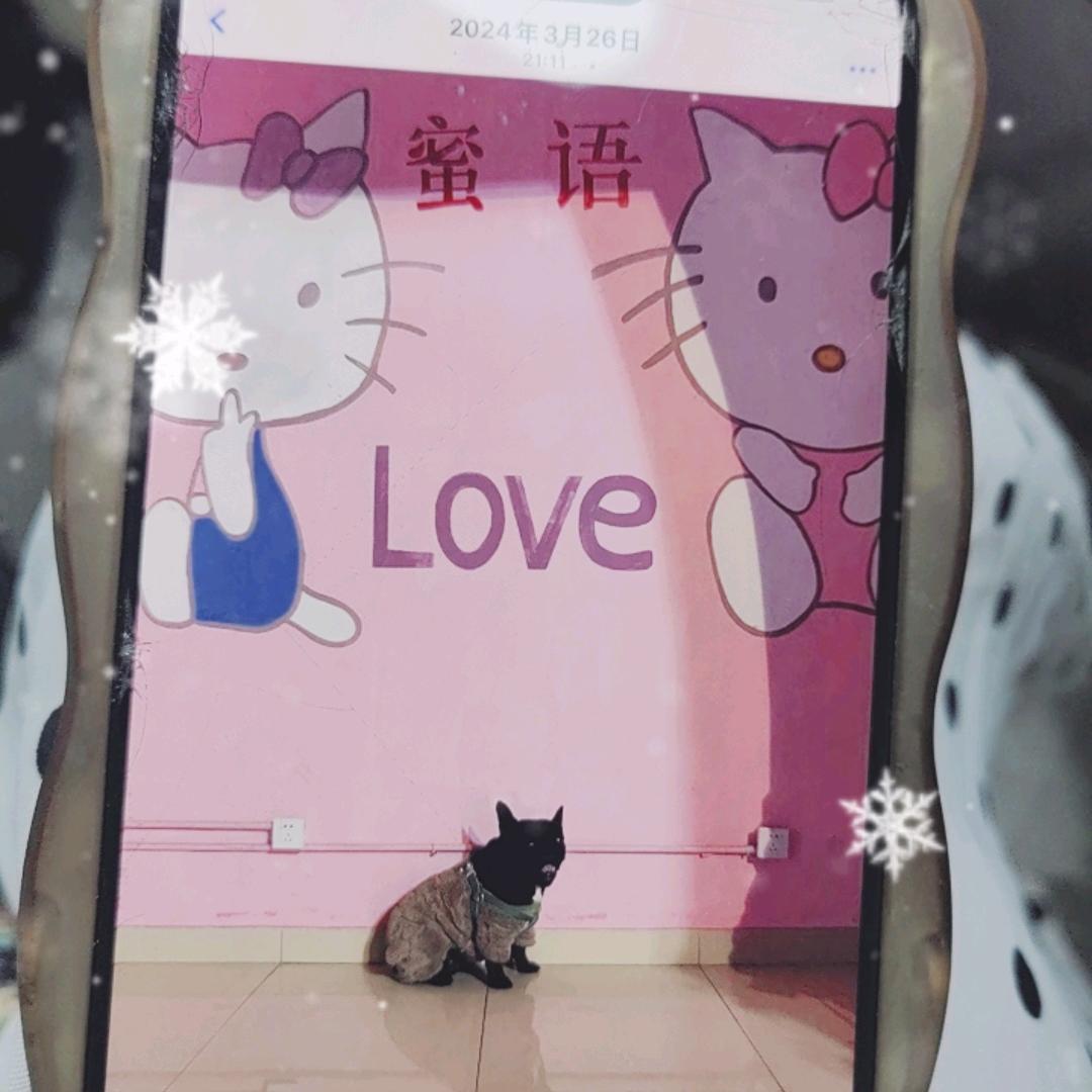 横店瓜