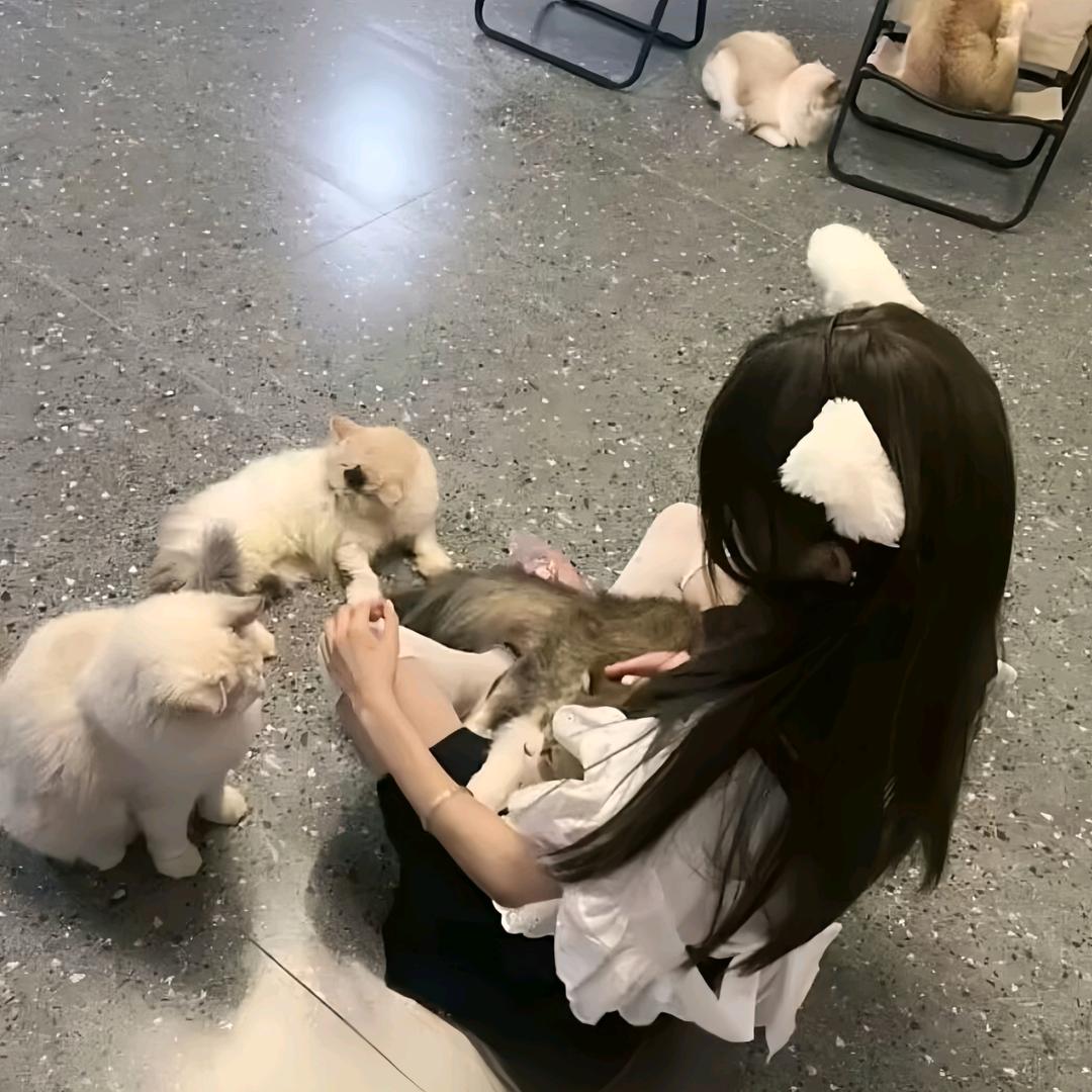 许一