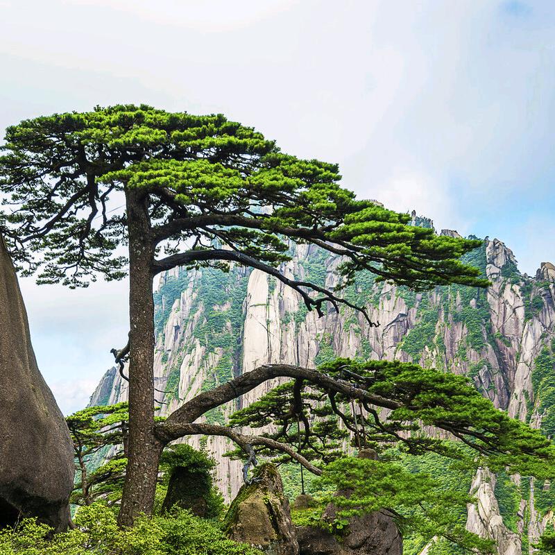 黄山欢迎您：🇨🇳🇨🇳🇨🇳