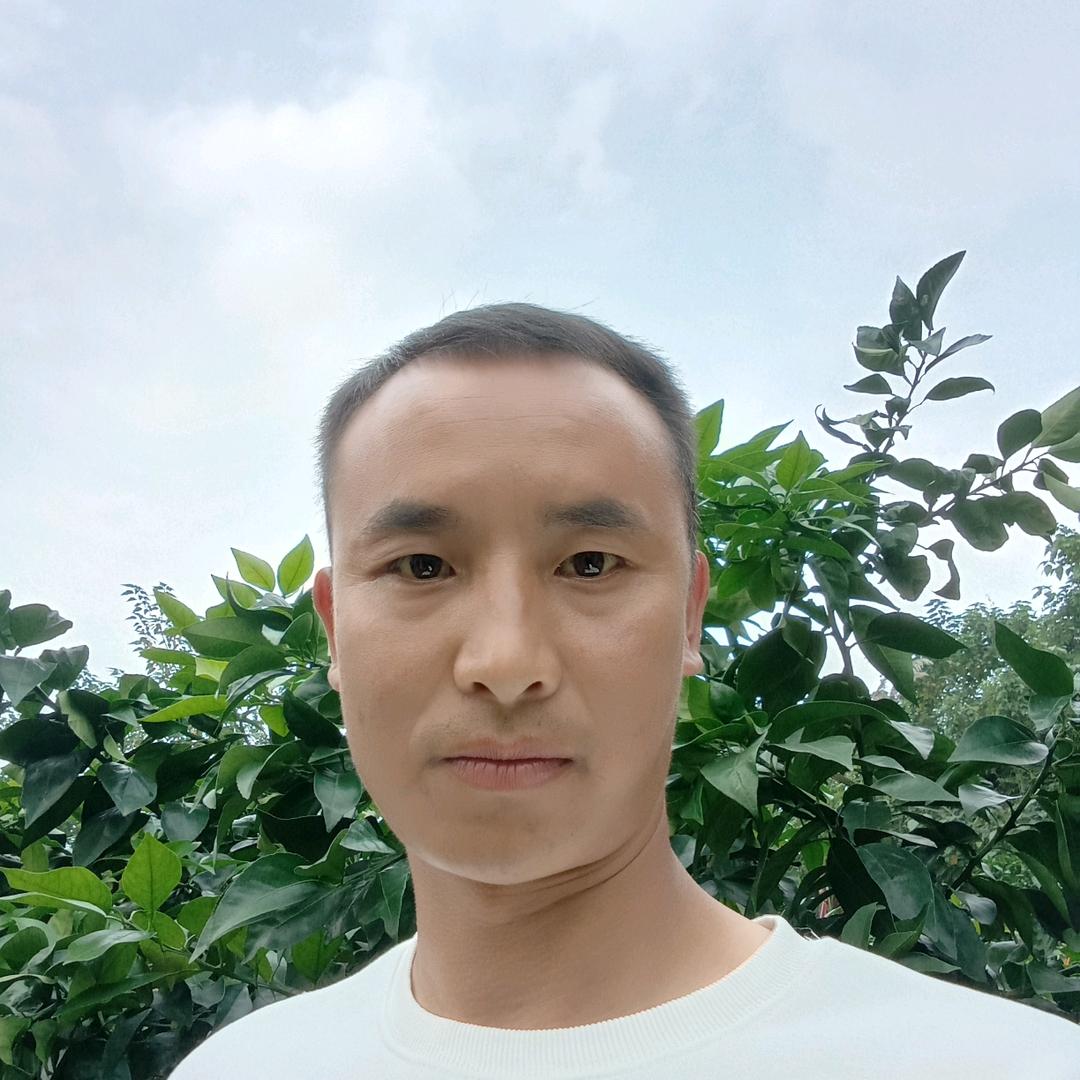 龙在江湖