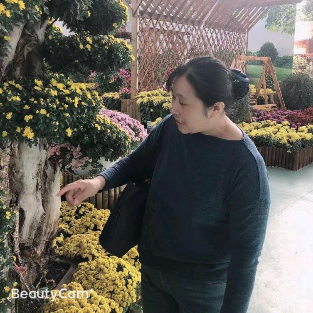 迟暮年华