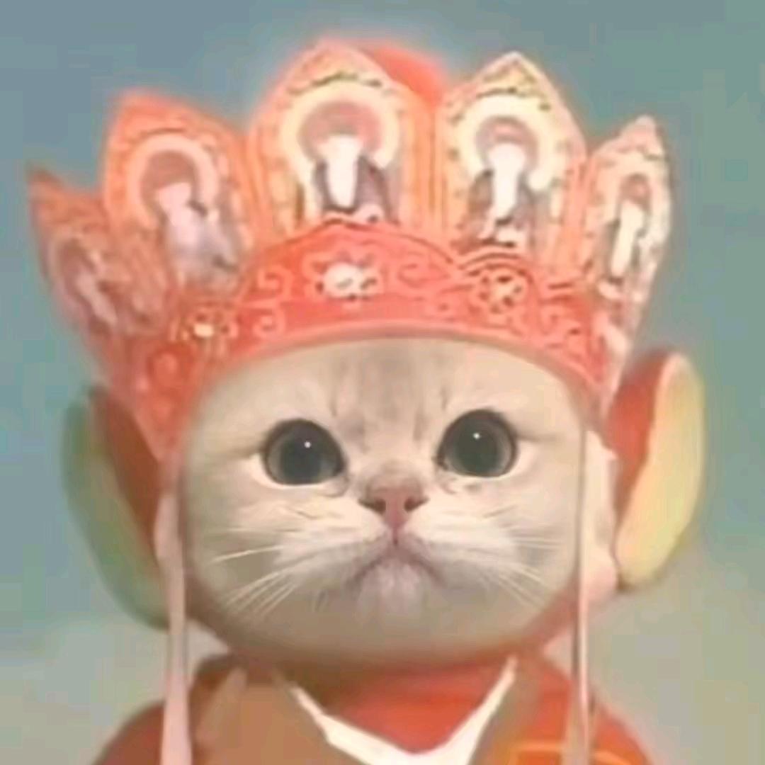 猫咪托福