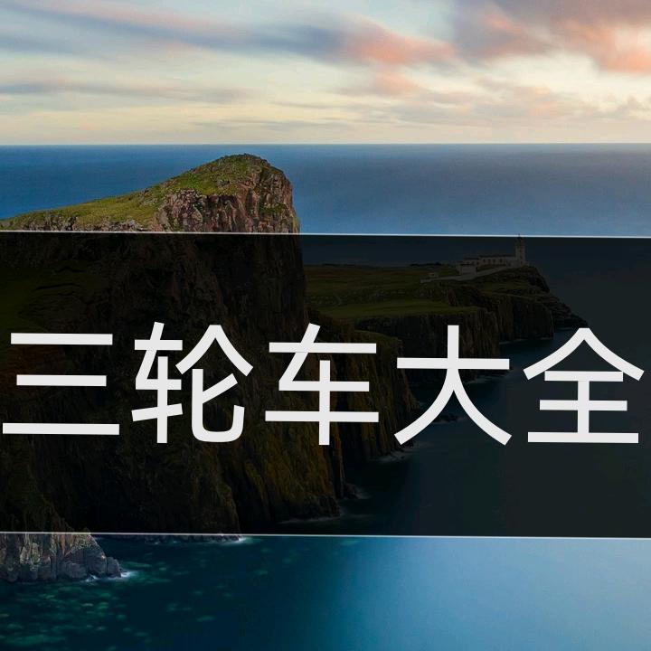 意琛电动车销售商行