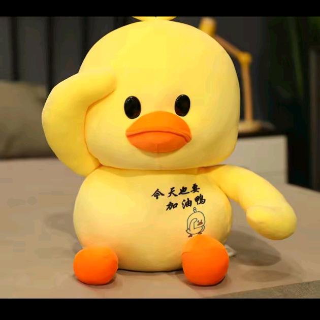 可儿，很哇塞