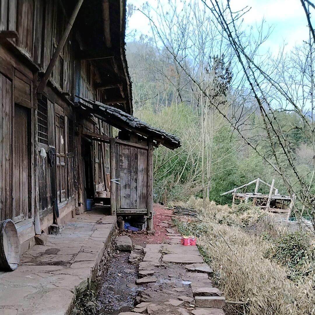 农村人