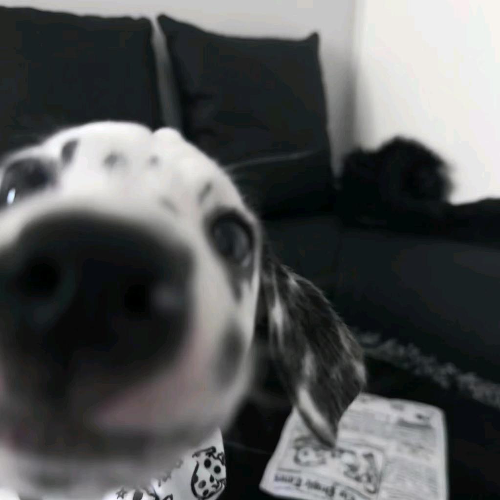 玉米面条