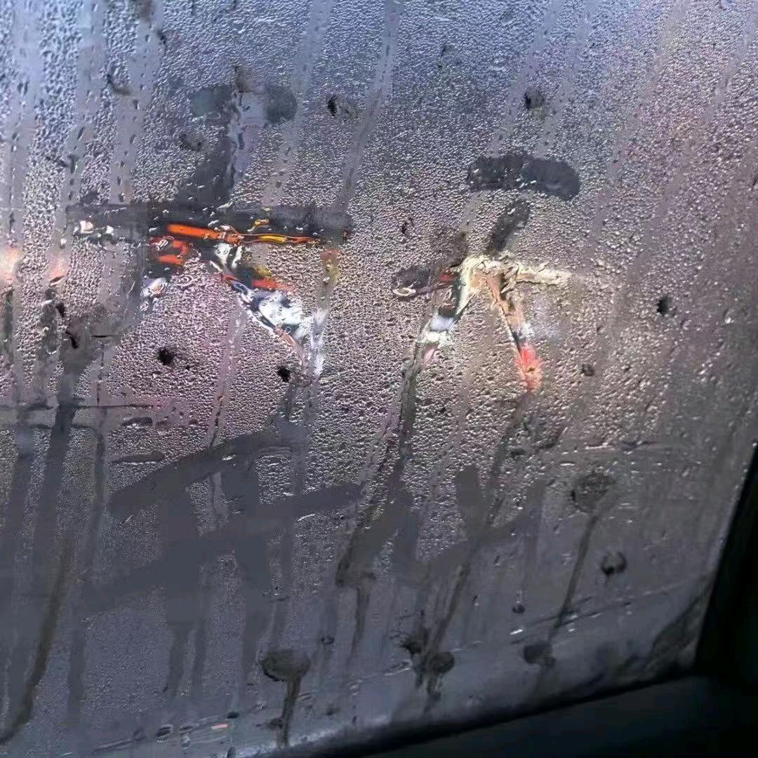 三角洲鱼鱼