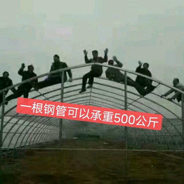 怀远县温室大棚材料厂