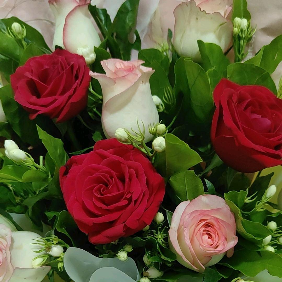 এᐝ傻᭨ᮩ丫头 🥀