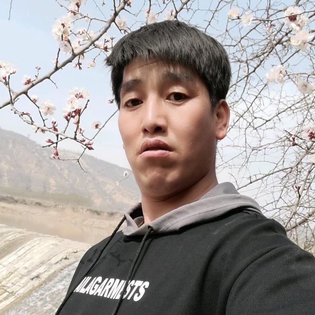 大桥卫士