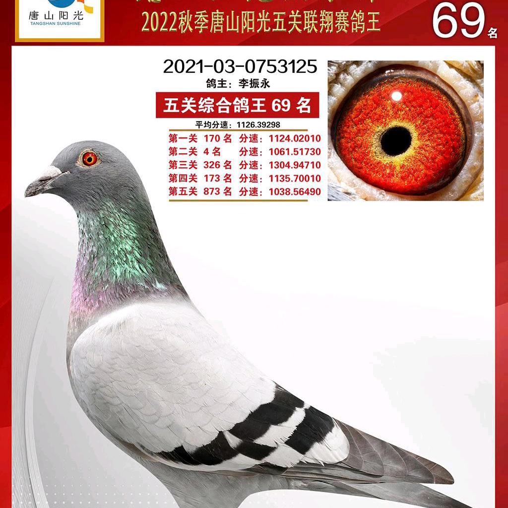 汉龙家园-葛