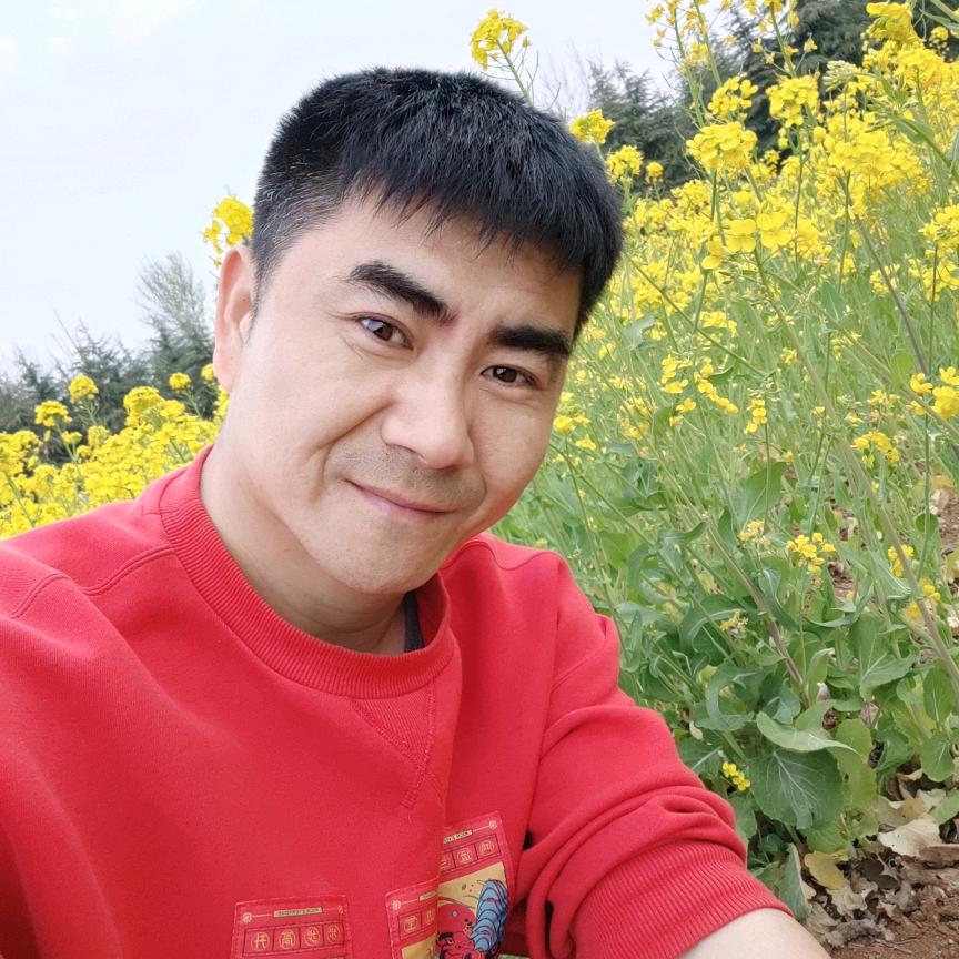 影子（猫狗乌托邦）