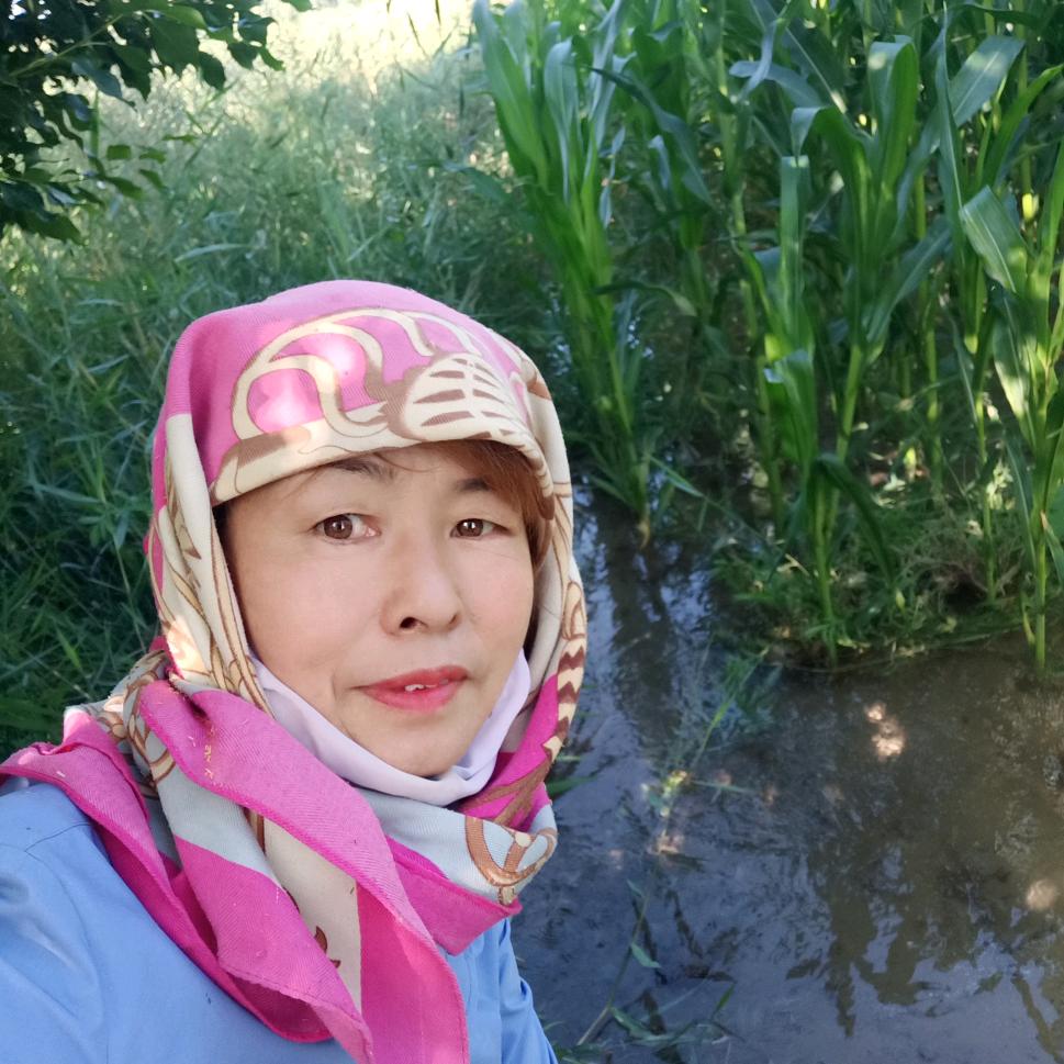 燕子爱唱歌