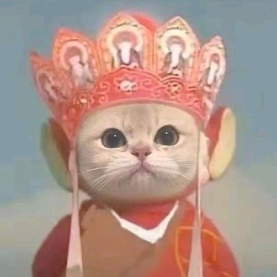 抓娃娃大王（战绩可查）