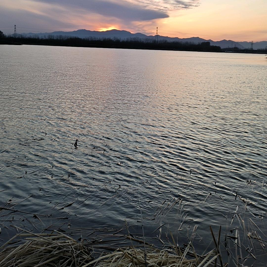 飞吧 大雁