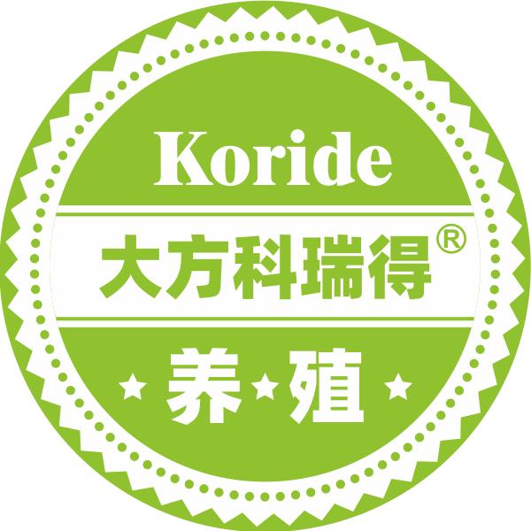 飞翔鸽舍(大方科瑞得)