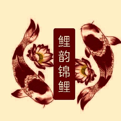 鲤韵锦鲤