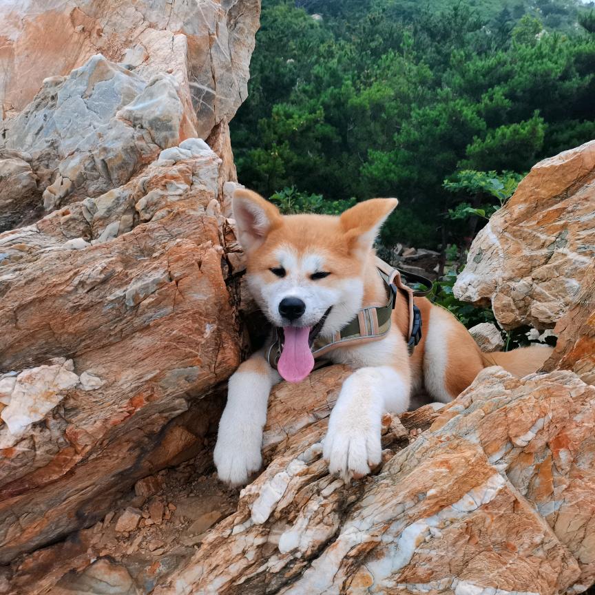 邦恩旅行