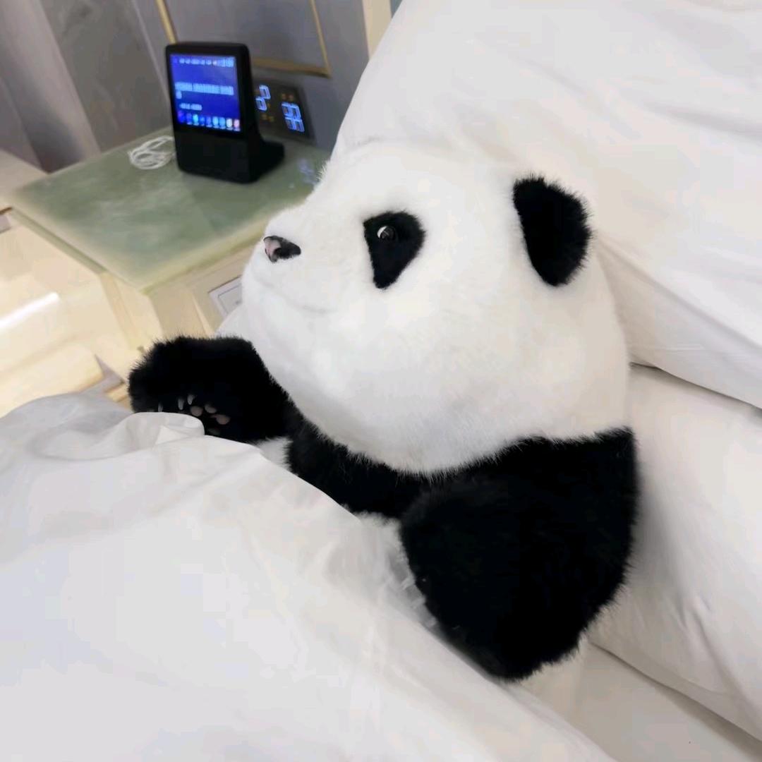 好运麻麻