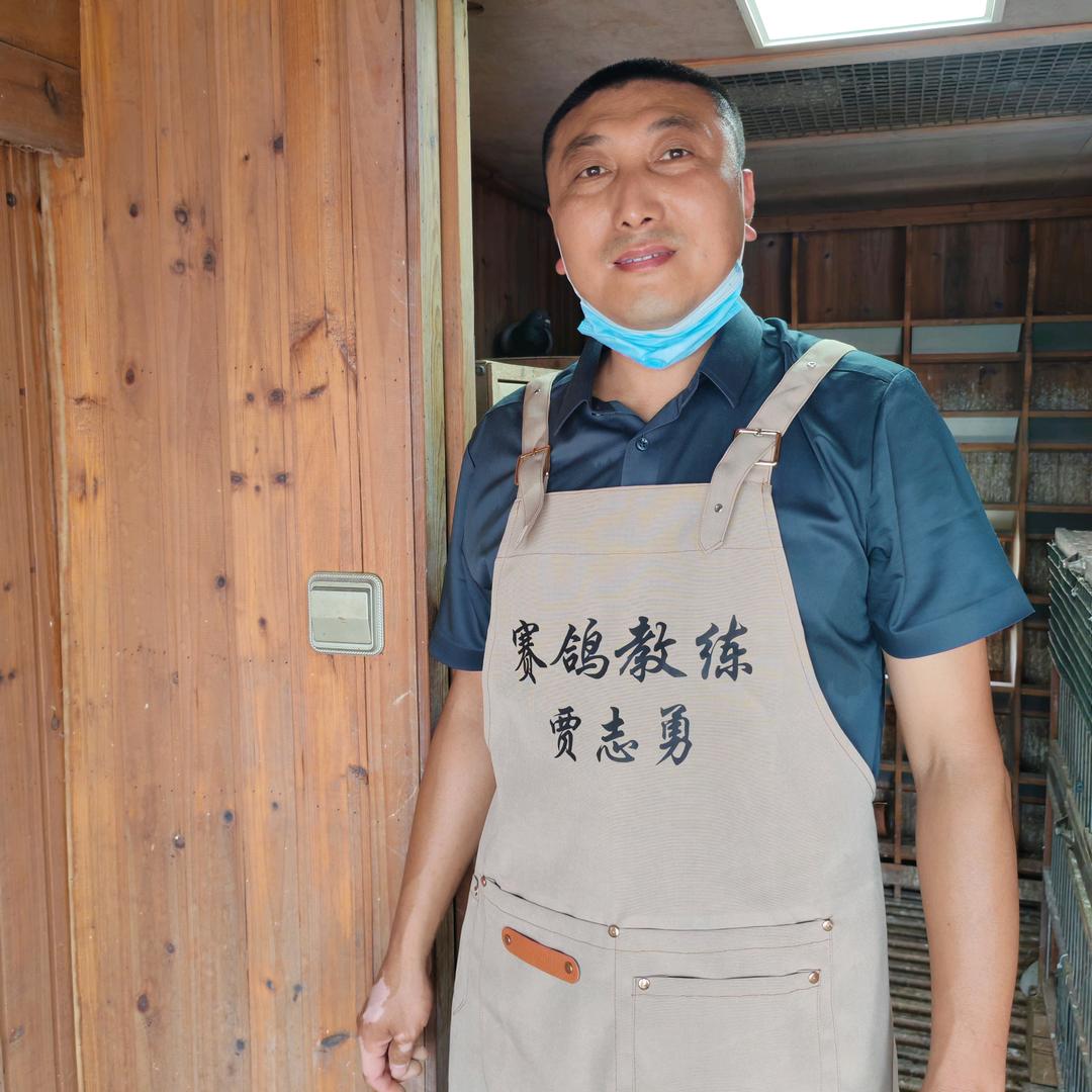 赛鸽教练贾志勇
