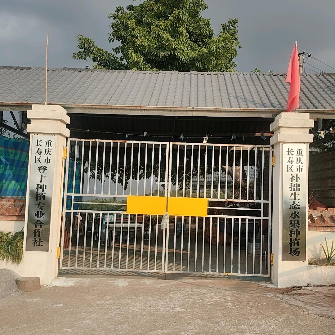 阳鹤山水果采摘基地