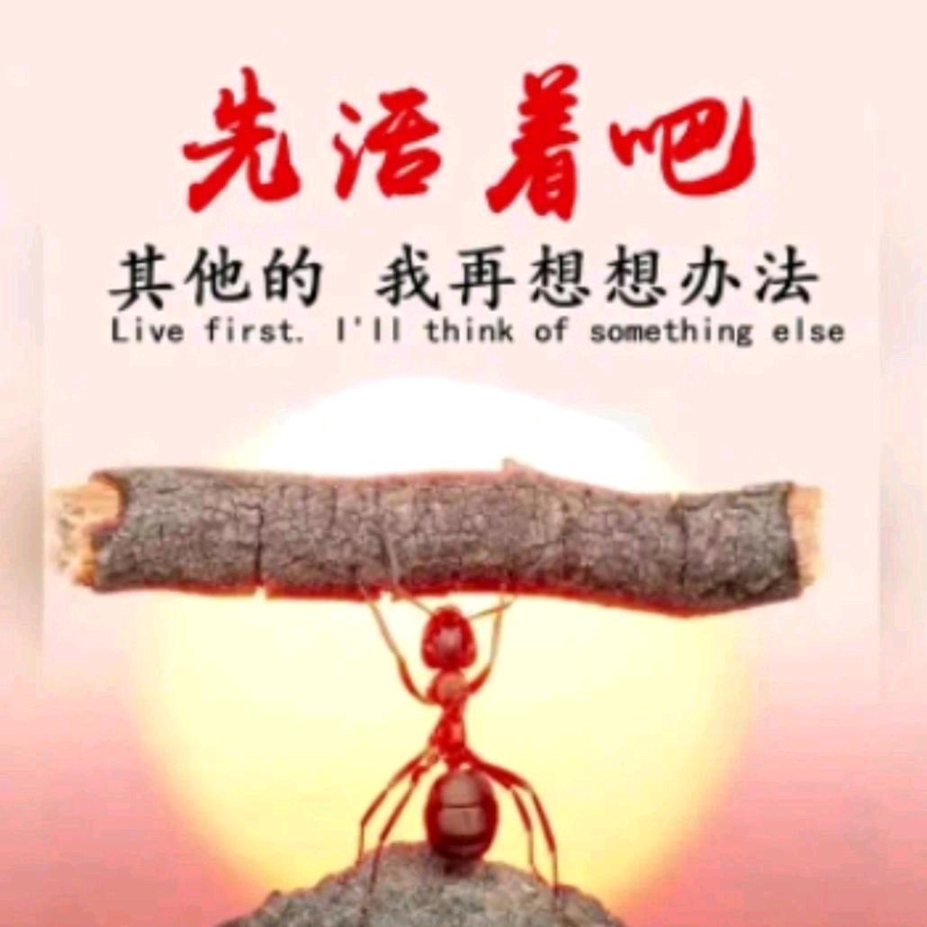 新野县羊多多牧业家庭农场