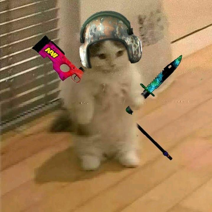 CS2白凡