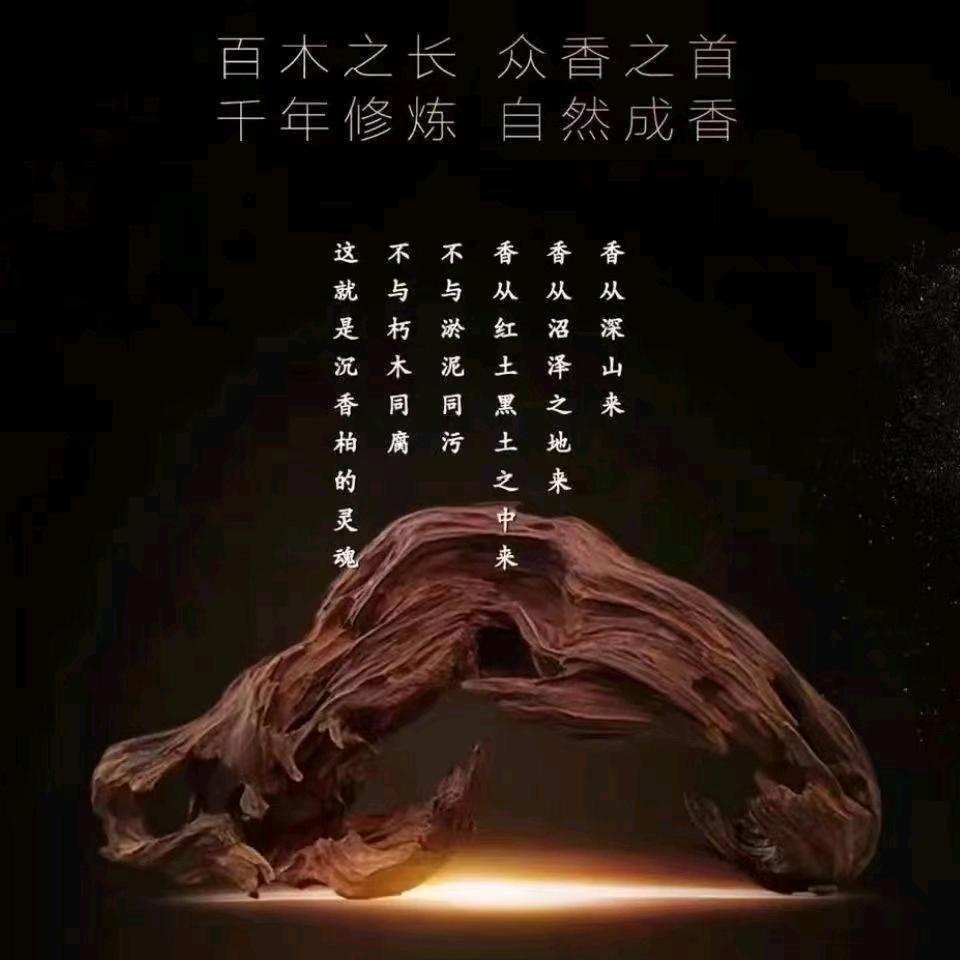 慈悲为怀