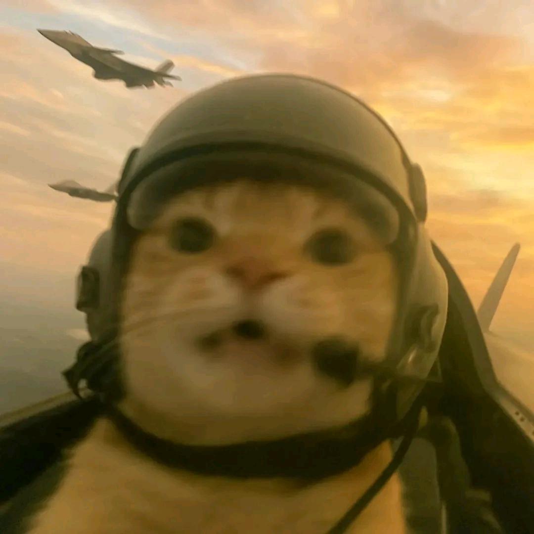 不被定义的🐱