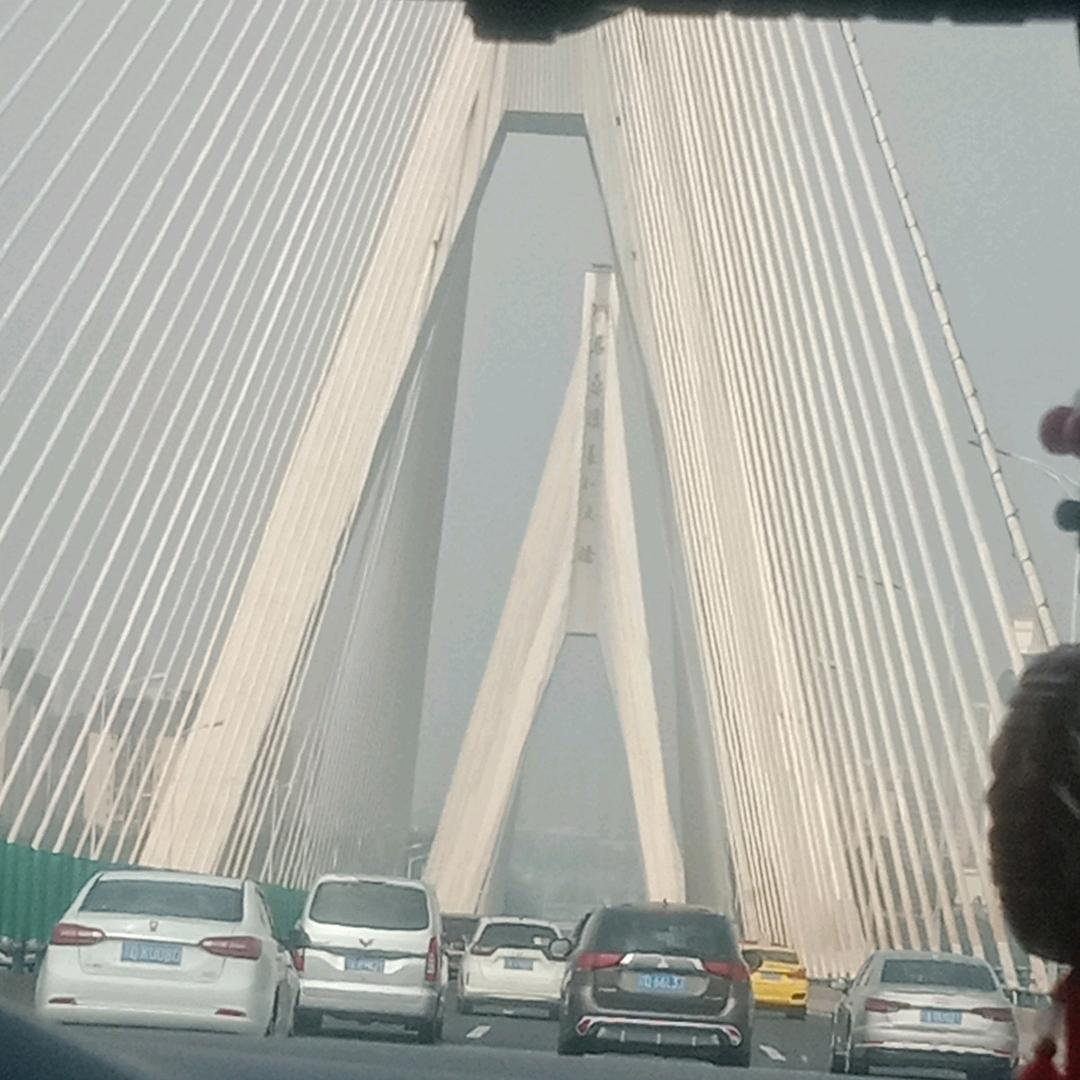 ༂༃受伤的不是你༒༒