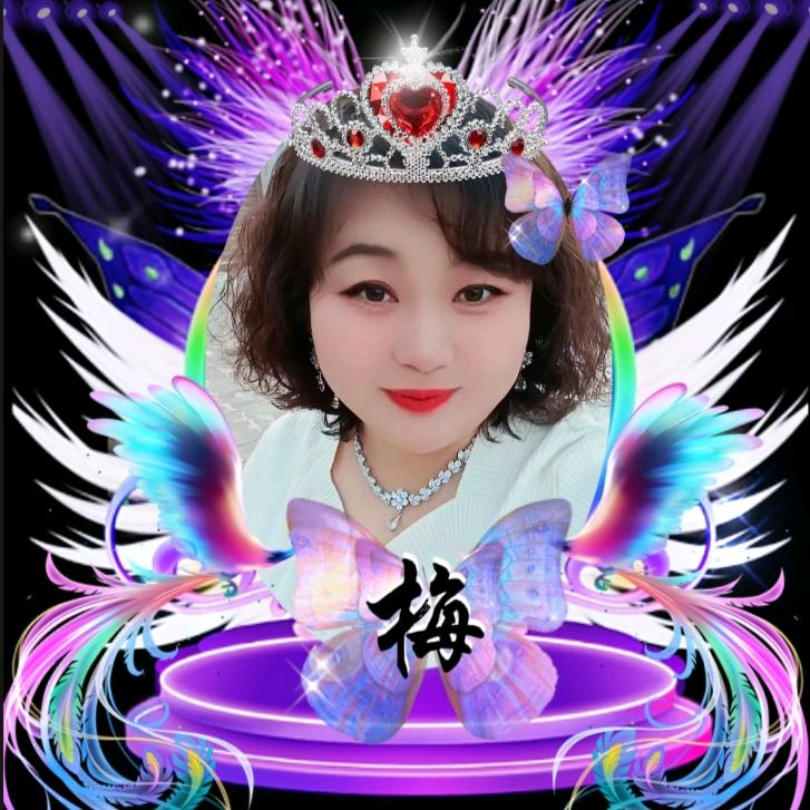 花钱月下