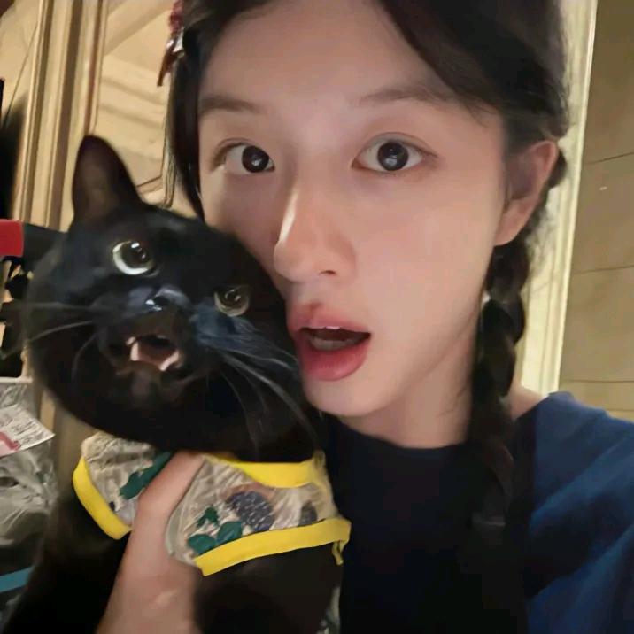 少点烦心柿