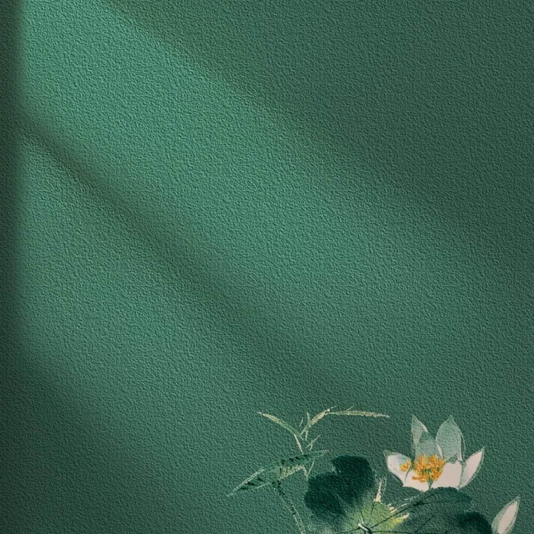 莫姐说情感