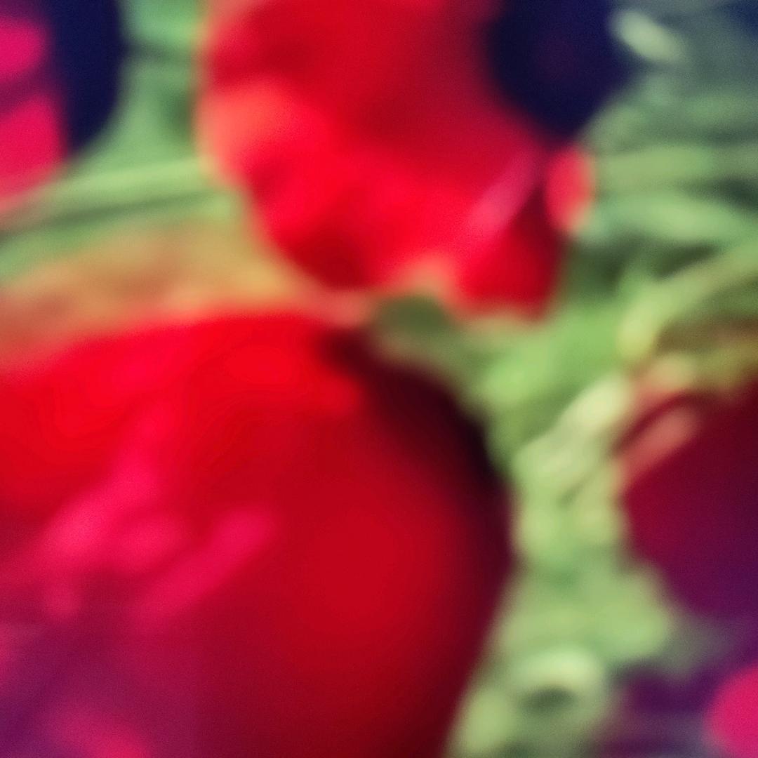 姐姐我想你