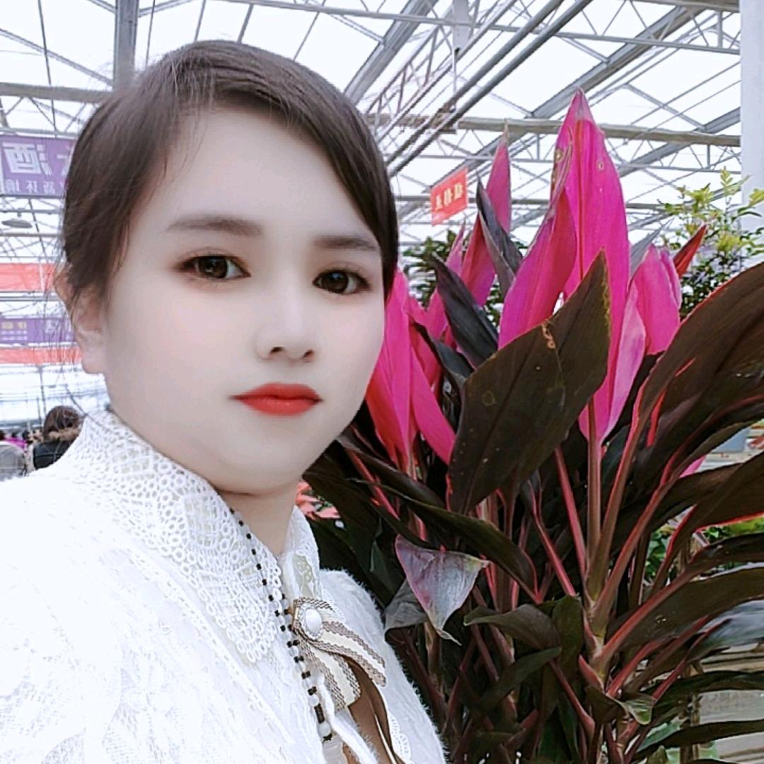 小杨
