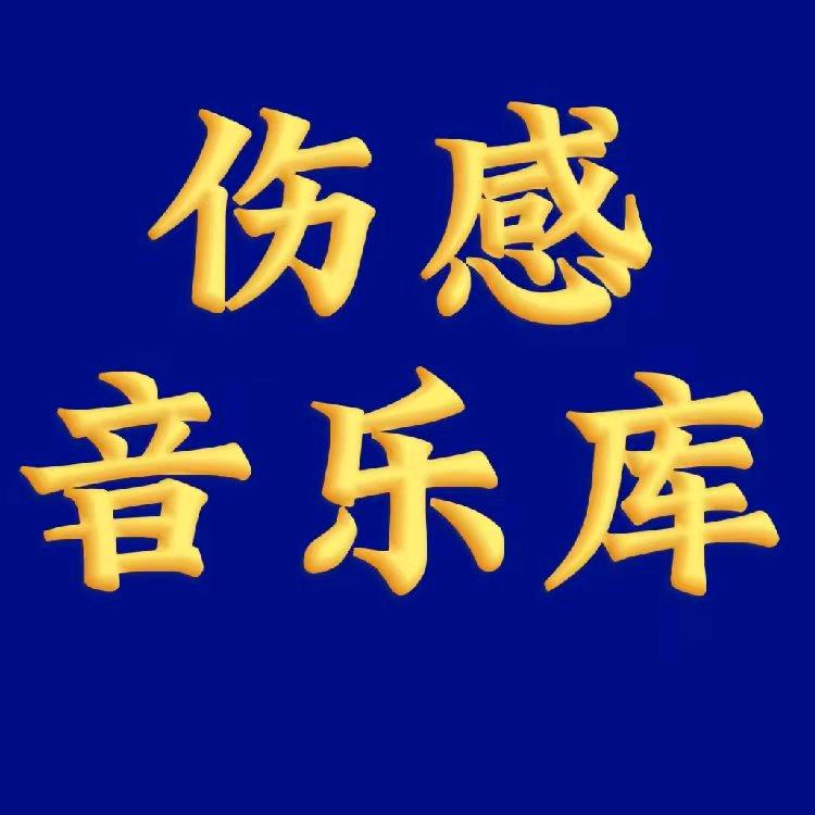 @爱音乐D哥新歌推荐