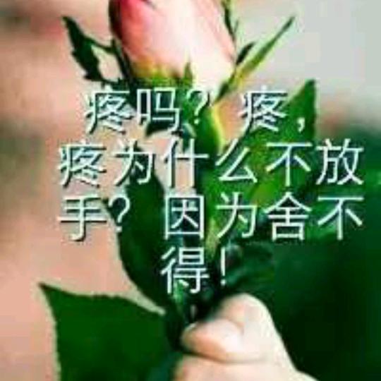 单亲妈妈一个人带两个孩子
