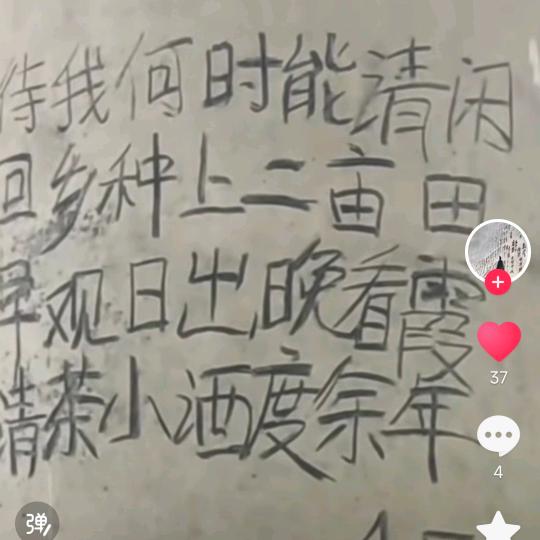 脆弱小咸鱼