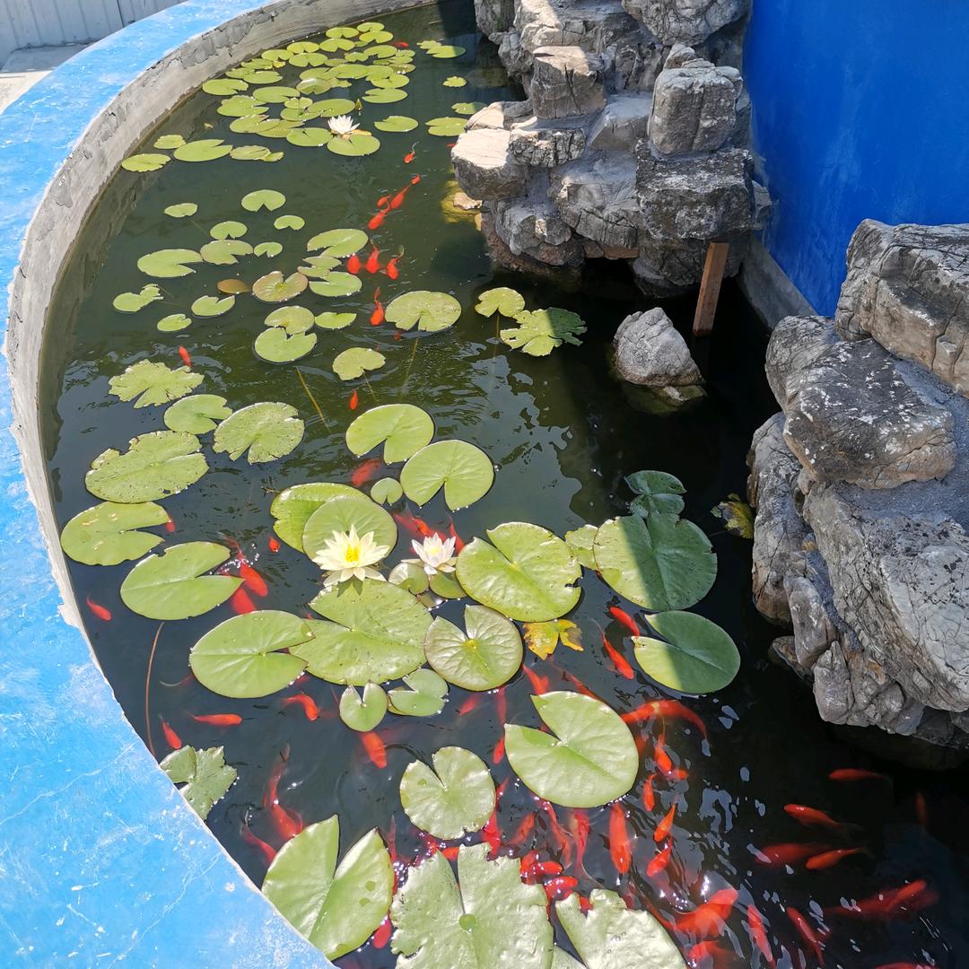 温暖有爱的越越