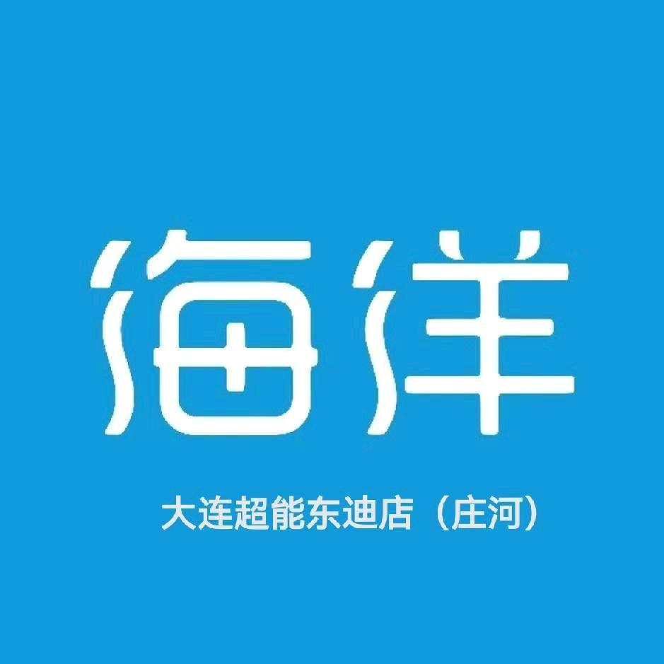 比亚迪海洋网超能东迪店