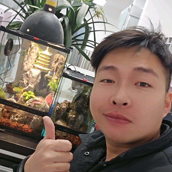 阿宠（宠哥）