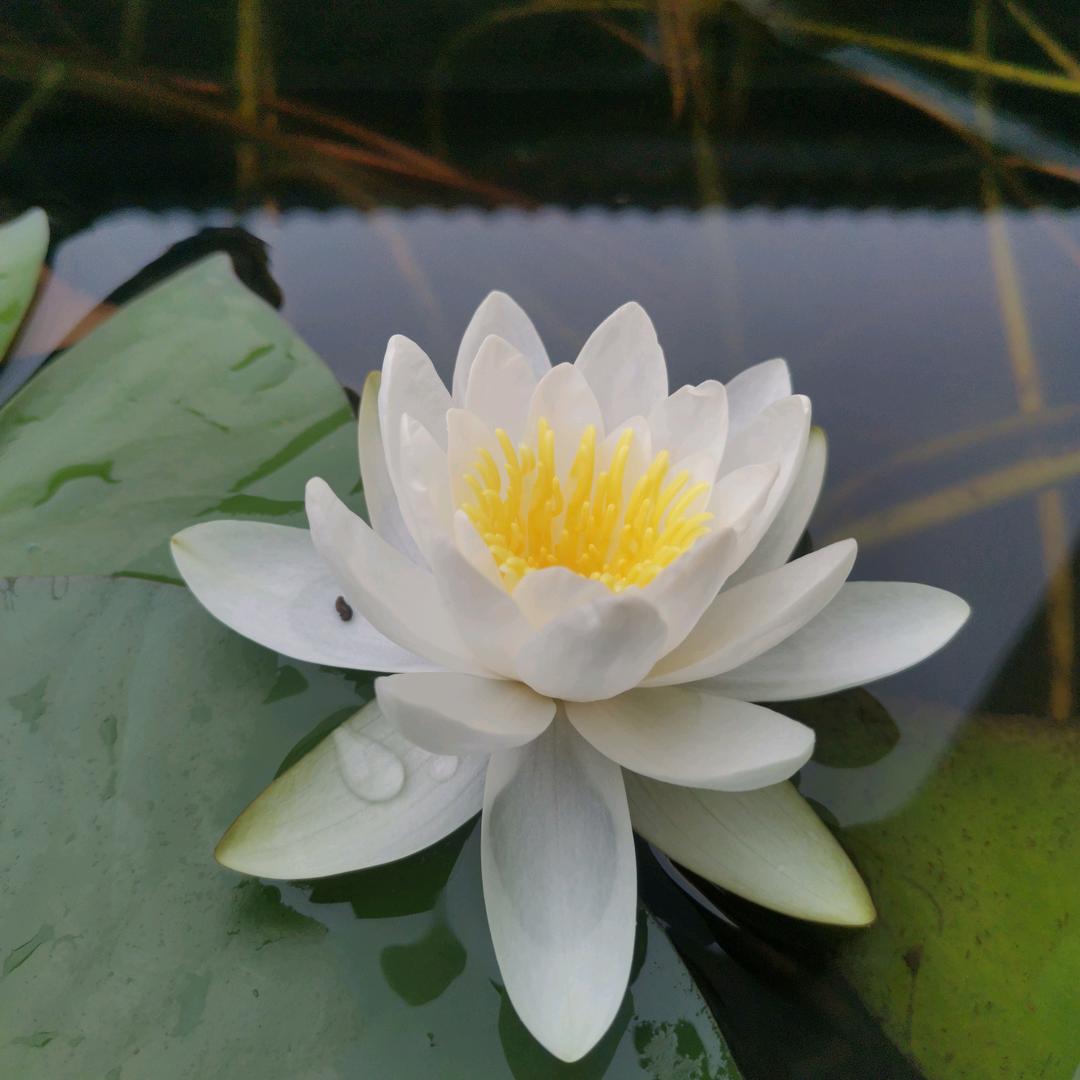 大叔慢热