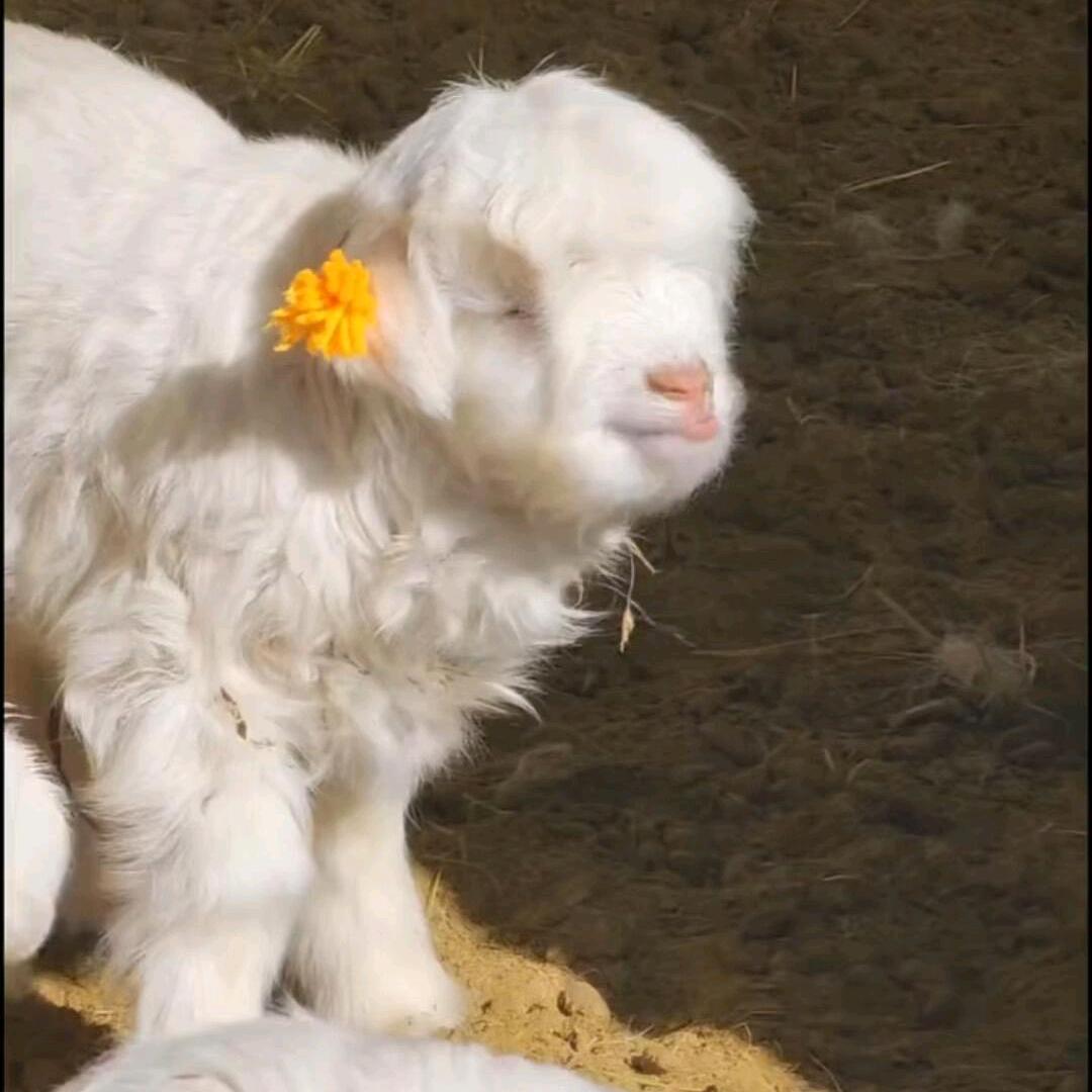 Fɪʀᴇᴡᴏʀᴋs.
