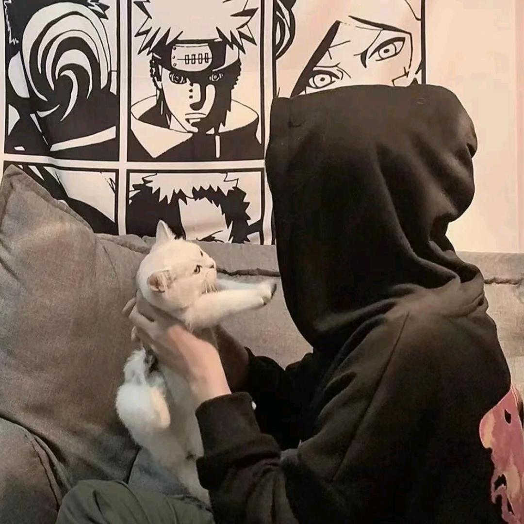 骏骏jun