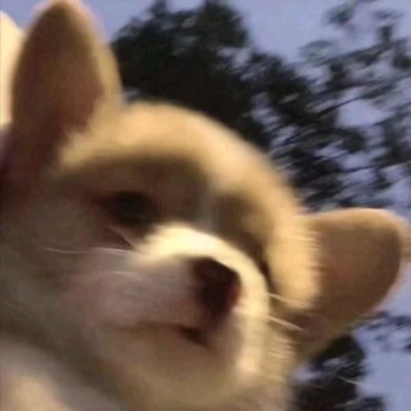 分身
