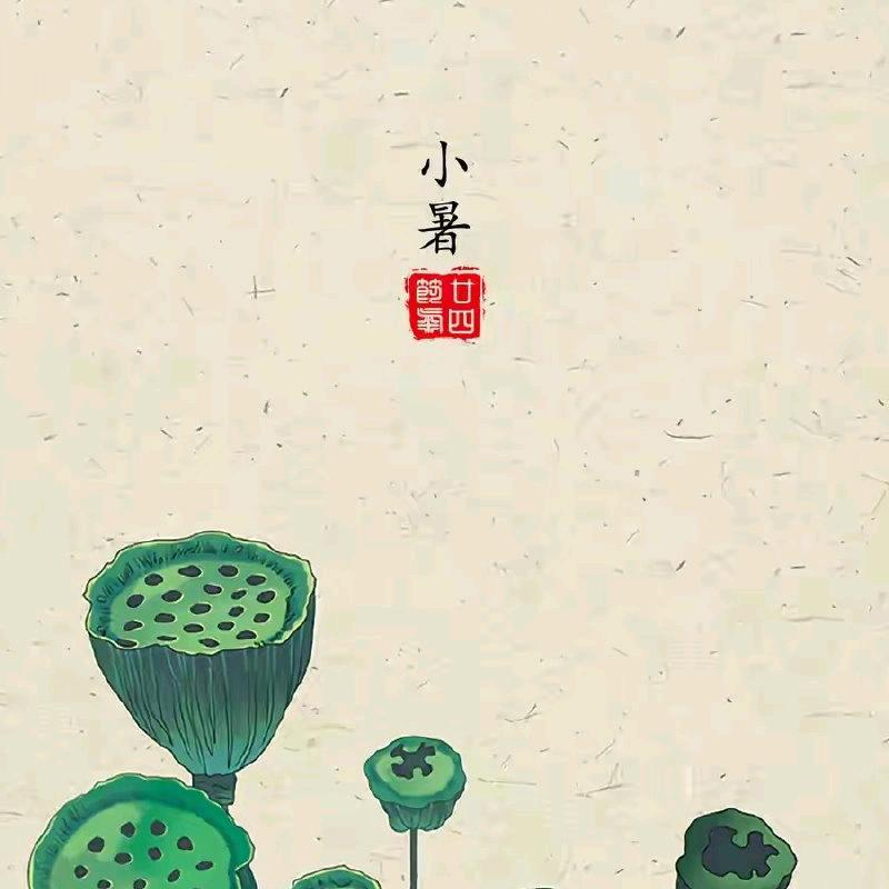 路主任聊职场