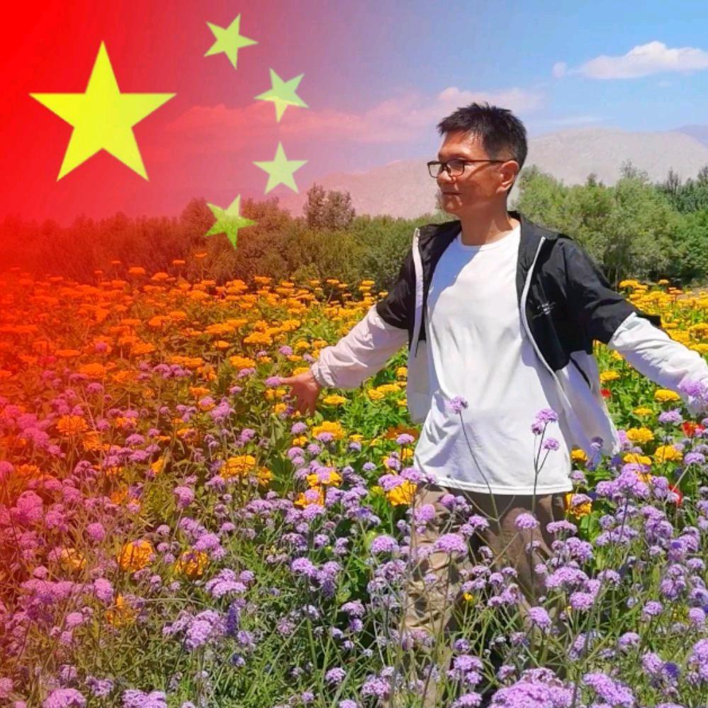 蔡歌¹